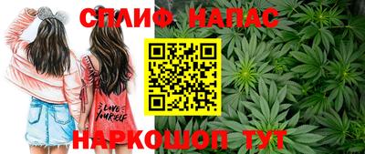ПСИЛОЦИБИНОВЫЕ ГРИБЫ Нальчик