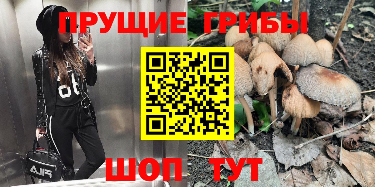 Якутск  Галлюциногенные грибы Psilocybe  Вход с VPN 